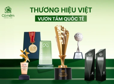 Cỏ Mềm: Hành trình từ thương hiệu truyền cảm hứng đến tiên phong phát triển bền vững