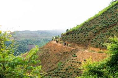 Ninh 2