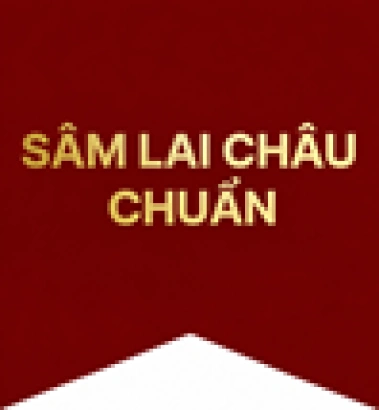 Để phục hồi một cánh rừng, không chỉ cần những người đi trồng cây