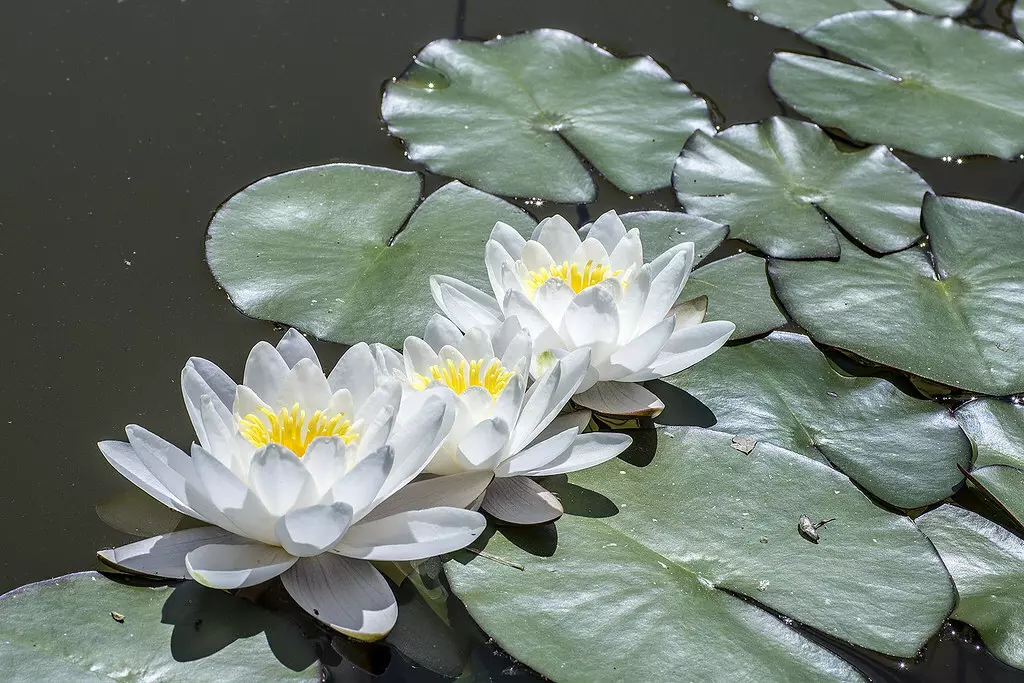 Banner bài viết