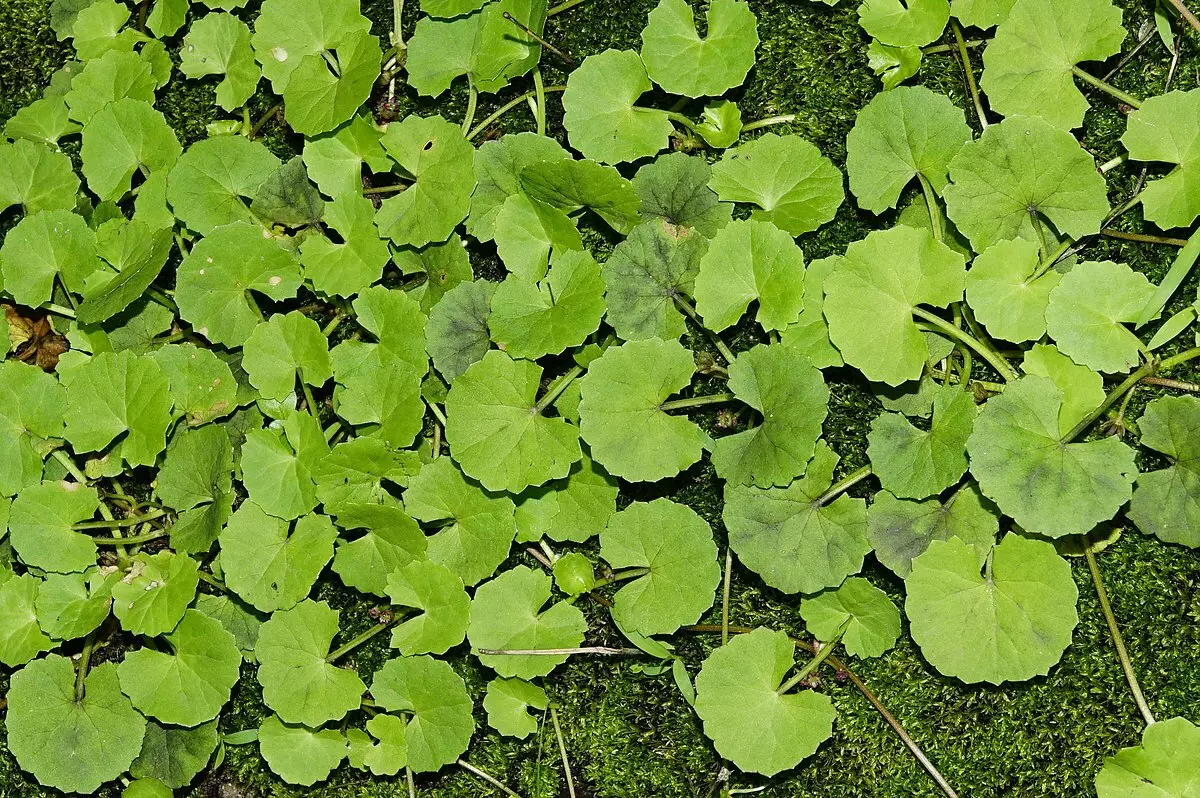 Banner bài viết