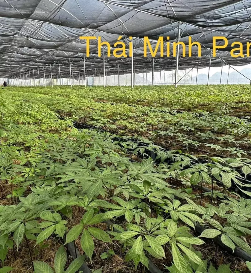 Banner bài viết