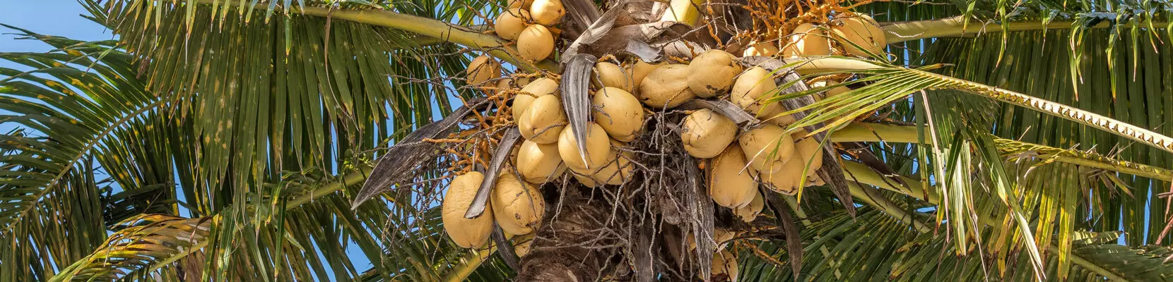 Banner bài viết