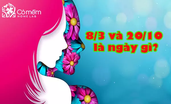 8/3 và 20/10 là ngày gì - Sự khác nhau giữa hai ngày lễ này là gì?