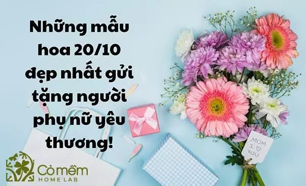 Tổng hợp những mẫu hoa 20/10 đẹp và ý nghĩa nhất dành tặng cho người phụ nữ thân yêu