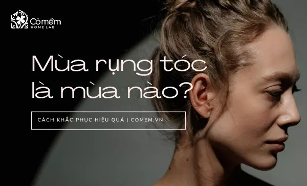 Mùa rụng tóc là mùa nào, vào tháng mấy? Hướng dẫn cách khắc phục