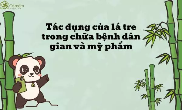 Tác dụng của lá tre trong chữa bệnh dân gian và mỹ phẩm