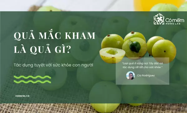 Quả mắc kham là gì? Công dụng quả mắc kham với sức khỏe