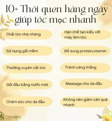 20+ Cách mọc tóc nhanh thấy rõ, chắc chân, thoải mái chải