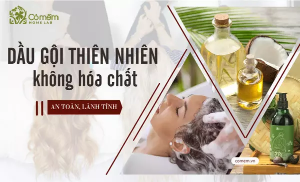 05++Dầu gội thiên nhiên 0 hóa chất, ngăn rụng tóc "SỐ1"