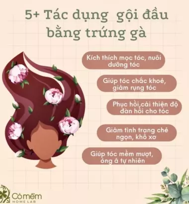 #10+ Tips Gội Đầu Bằng Trứng Gà "Giúp Mềm Mượt X10 LẦN"