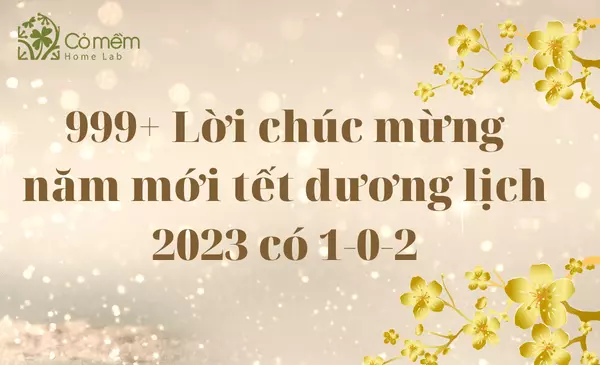 999+ Lời chúc mừng năm mới tết dương lịch 2023 có 1-0-2