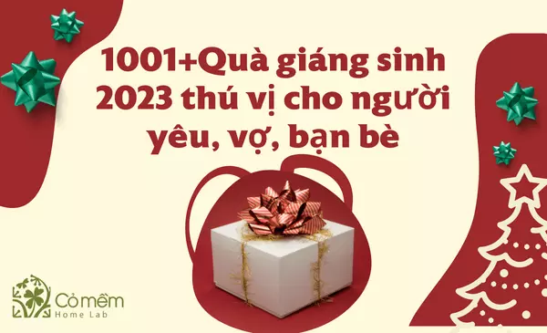 1001+Quà giáng sinh 2023 "cute, độc đáo, ấn tượng" 10/10đ