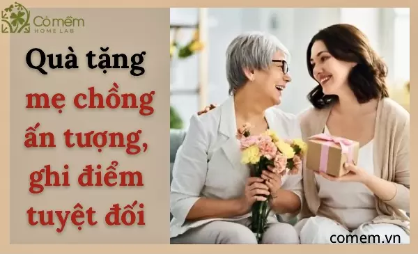 25+ Món Quà Tặng Mẹ Chồng Ấn Tượng, Ghi Điểm Tuyệt Đối