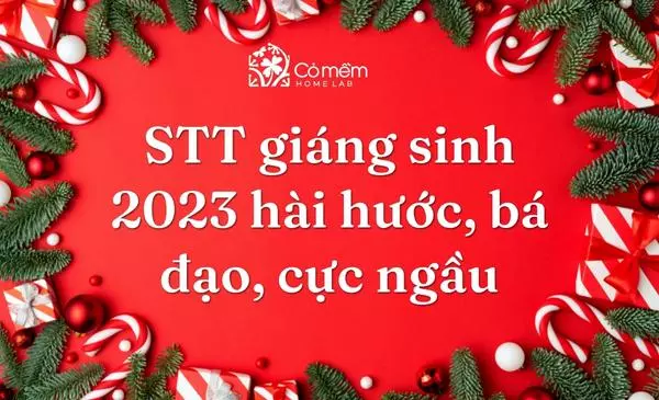 199+ STT Giáng Sinh 2023 Hài Hước, Bá Đạo, Cực Ngầu Cho 2K