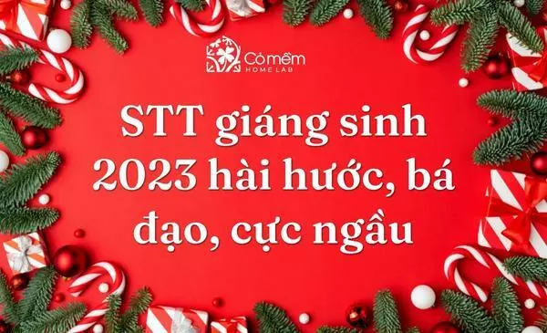 199+ STT Giáng Sinh 2023 Hài Hước, Bá Đạo, Cực Ngầu Cho 2K