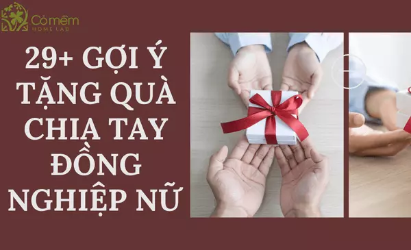 29+ Gợi Ý Tặng Quà Chia Tay Đồng Nghiệp Nữ "Thú Vị, Hài Hước"