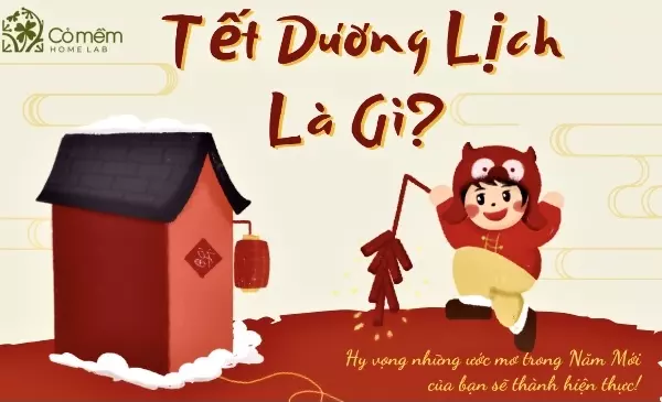 ▷Tết dương lịch là gì? Của nước nào? 10++ Tập tục độc đáo