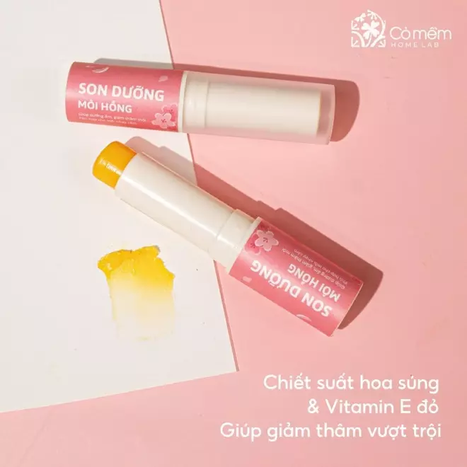 [SET QUÀ TẶNG] Mặt nạ ngủ môi + Son dưỡng dành cho bạn gái