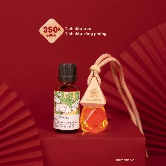 [SET QUÀ TẶNG] Tinh dầu treo + Tinh dầu nhỏ giọt nguyên chất