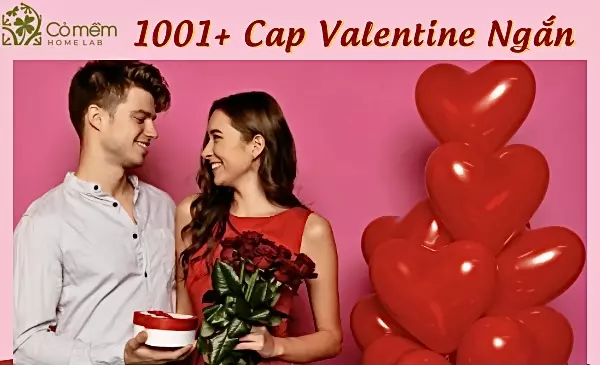 1001++Cap Valentine ngắn ngọt như mật "đúng nhận sai cãi"