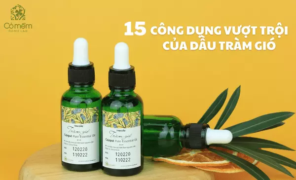 Dầu tràm có tác dụng gì? 15 Công dụng "vượt trội, to lớn"