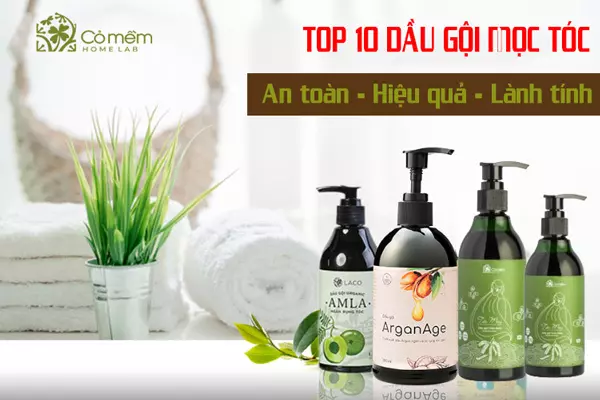 Top10 dầu gội mọc tóc phục hồi "hiệu quả, an toàn, lành tính"