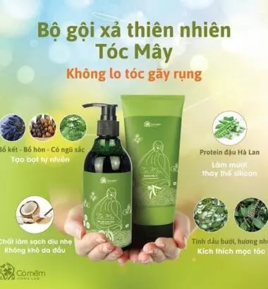 Top10 Dầu gội ngăn rụng tóc "xoá tan nỗi lo tóc thưa, hói đầu"