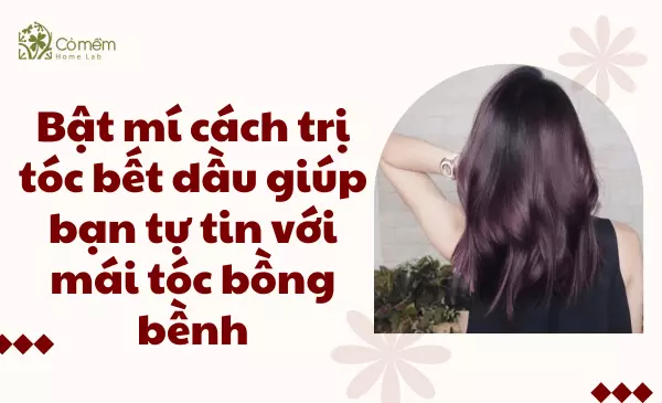 Bật mí cách trị tóc bết dầu giúp bạn tự tin với mái tóc bồng bềnh