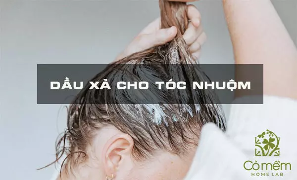 Top 10 dầu xả cho tóc nhuộm giúp tóc luôn bền màu