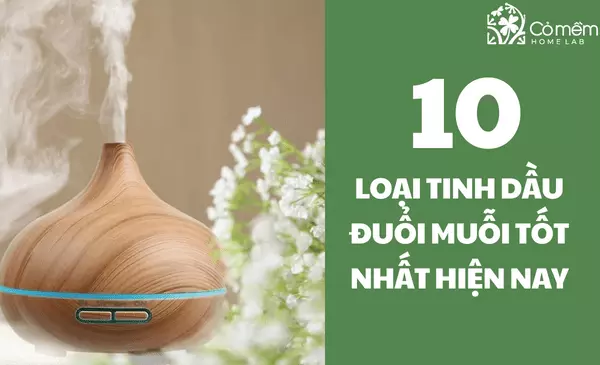 Tinh dầu đuổi muỗi có hại không? 10 Loại tinh dầu tốt nhất