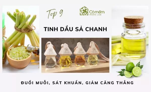 Review 9 lọ tinh dầu sả chanh đuổi muỗi, sát khuẩn, nguyên chất