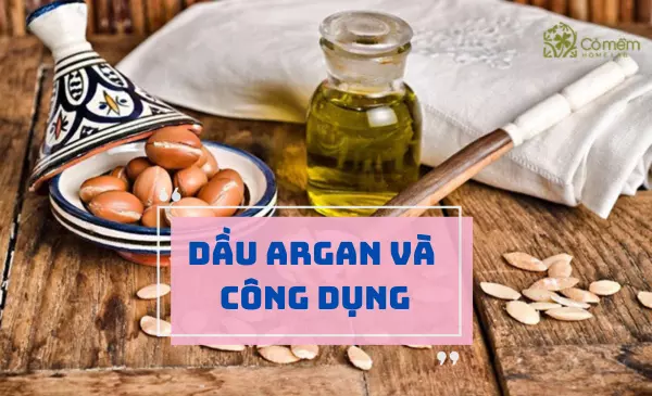 Dầu Argan là gì? Hé lộ công dụng dầu Argan trong làm đẹp và sức khỏe