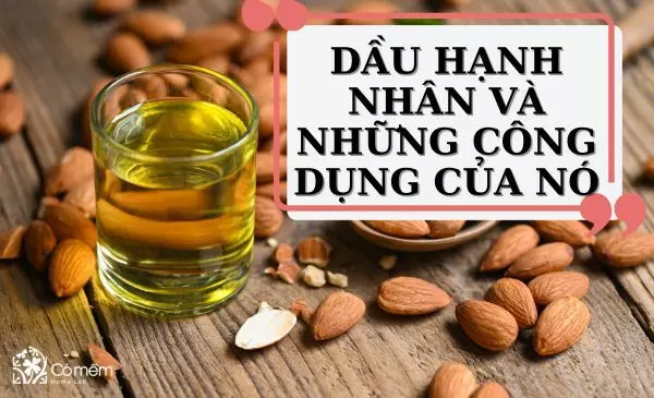 Dầu hạnh nhân: Những công dụng với sức khỏe và làm đẹp bạn nhất định phải biết