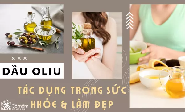 Dầu oliu là gì? Khám phá những công dụng thần kỳ của dầu oliu với sức khỏe